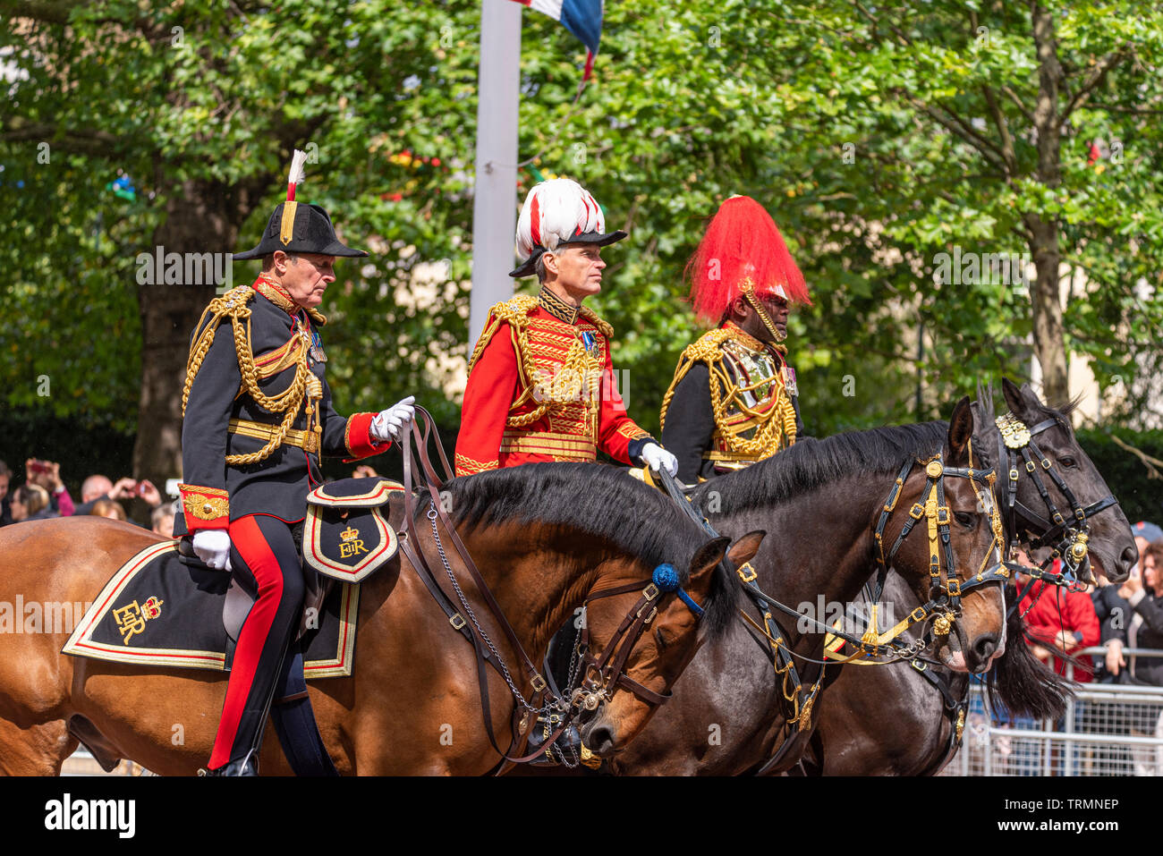 Ceremonial dress uniforms of officers of British Army Household Cavalry mounted soldiers at Trooping the Colour 2019, London, UK. Plumage Stock Photo