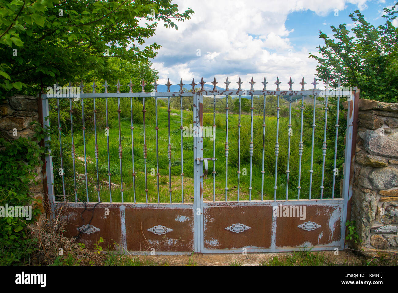 Closed gate of a field. Stock Photo