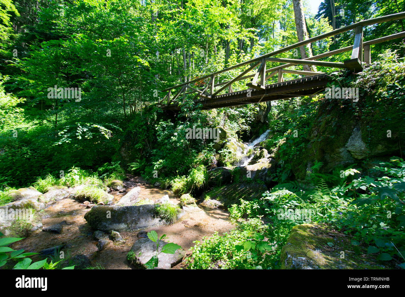 Waterfalls of Gaishöll in Sasbachwalden in the Black forest in Germany Stock Photo