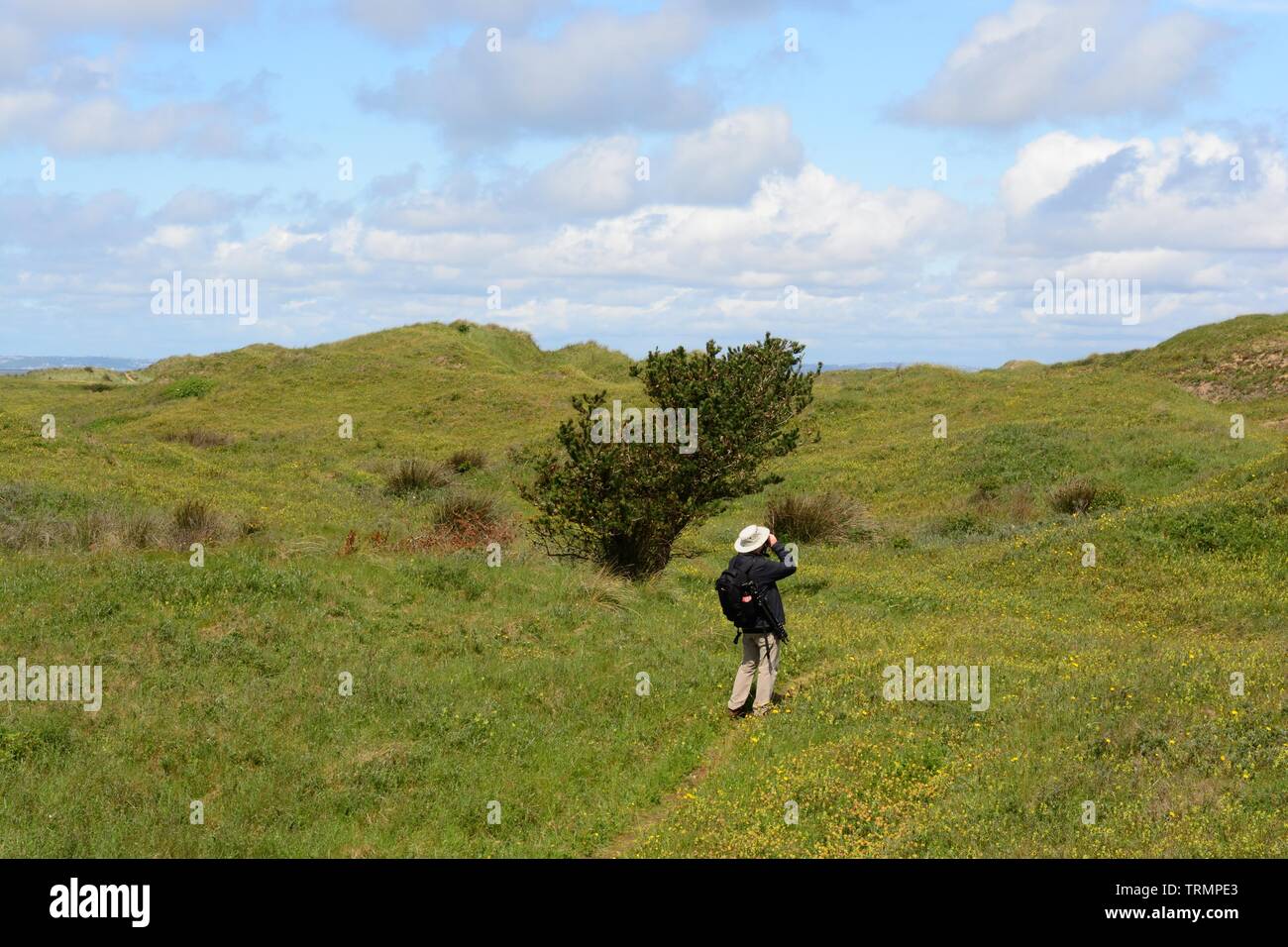 Bird watcher using binoculars on Kenfig burrows Kenfig nature Reserve Powys Wales Cymru UK Stock Photo