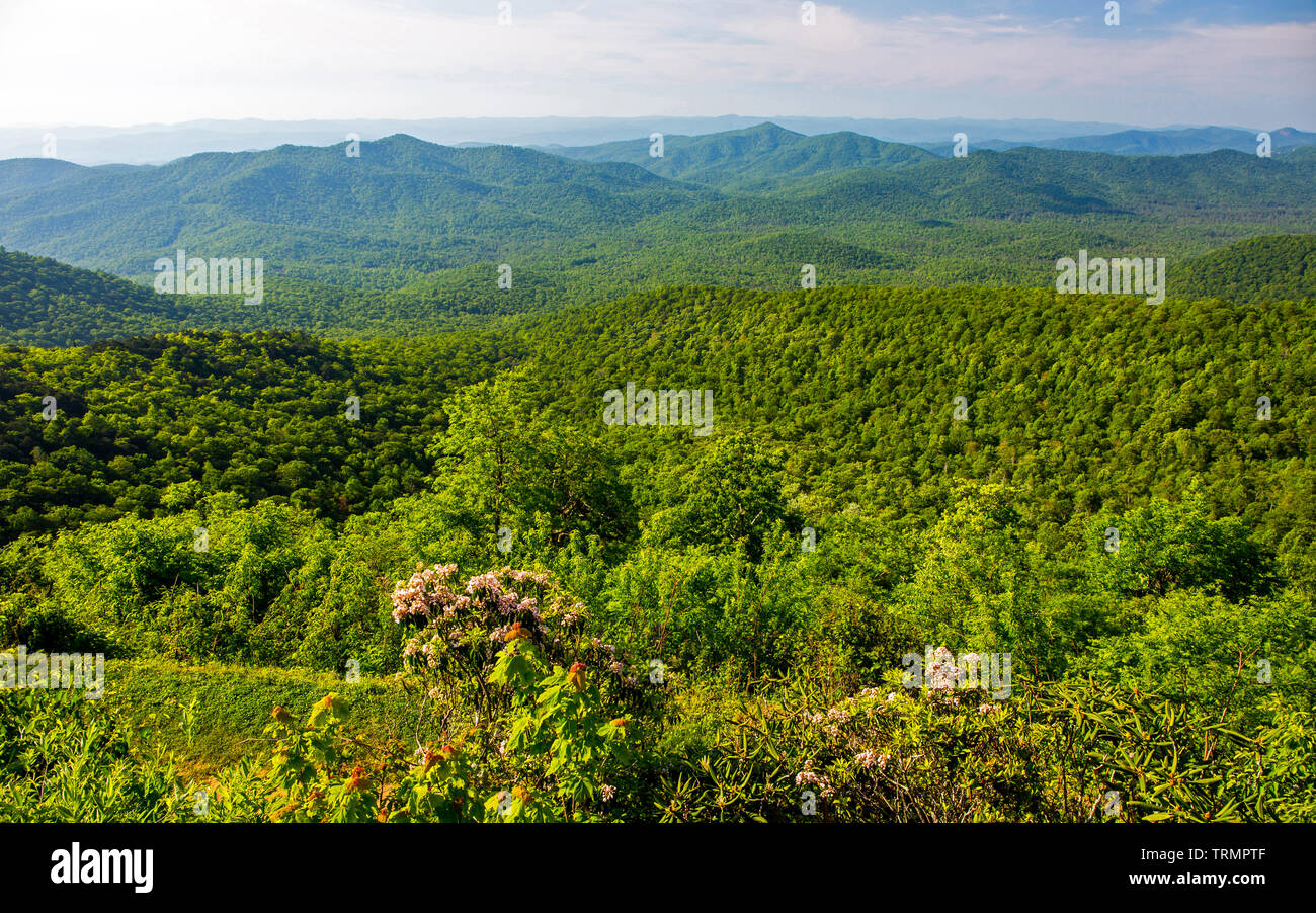 19,000+ Blue Ridge Mountains Stock Photos, Pictures & Royalty-Free