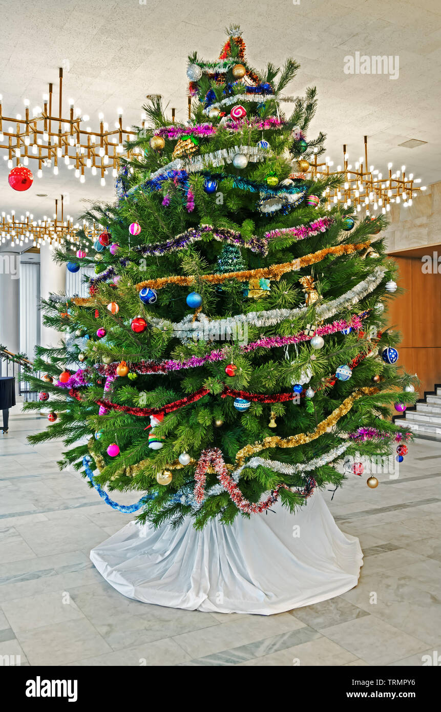Large And Lush Christmas Tree In The Hall Illuminated By Ceiling