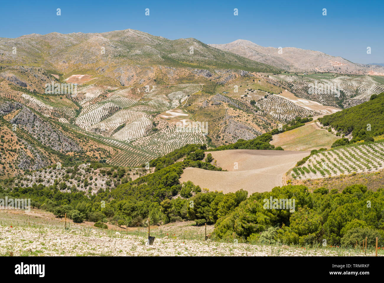 Sierra nevada spain white village hi-res stock photography and images 