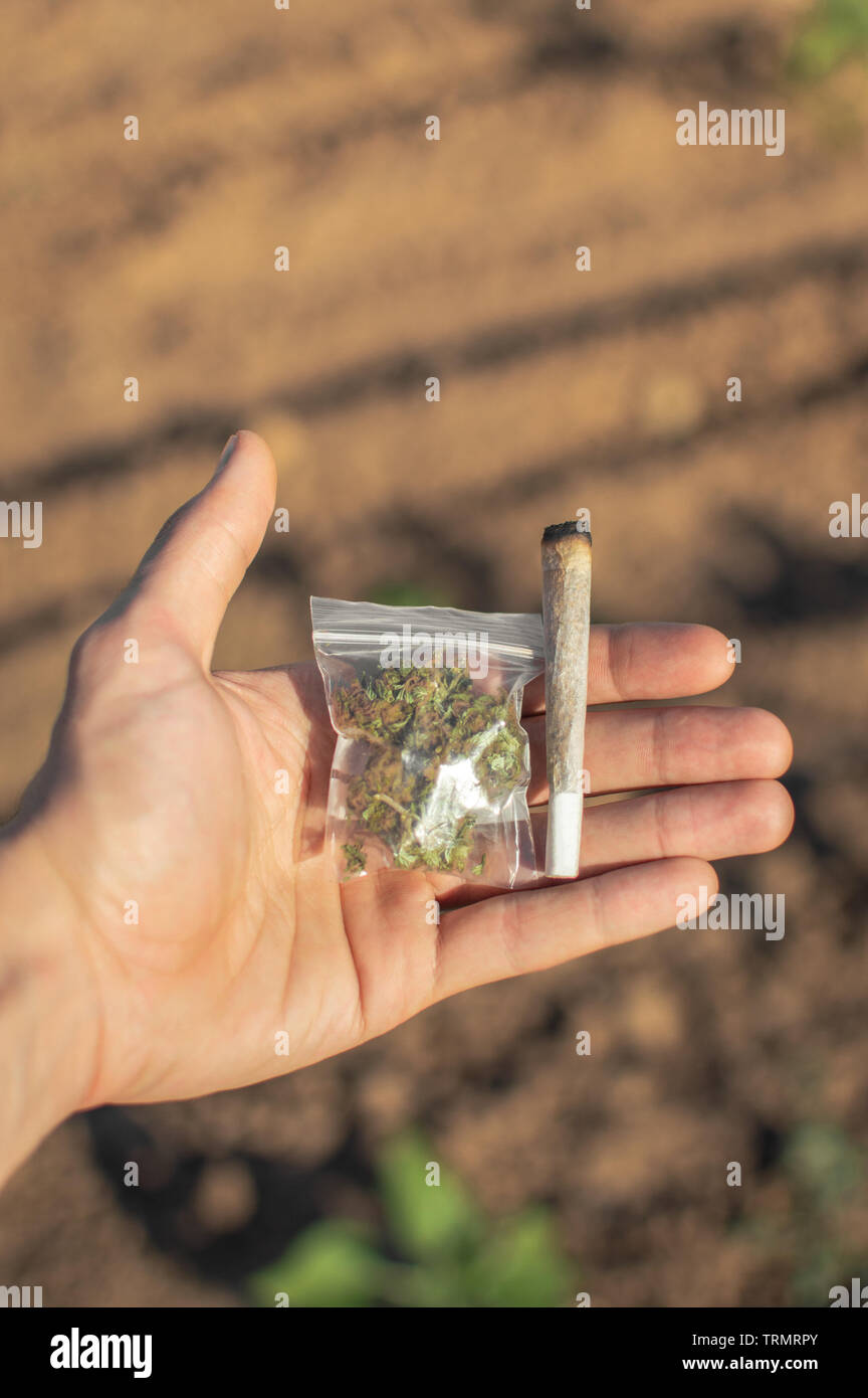 Smoking marijuana in a natural place. Hand of a man showing a big marijuana joint and a plastic bag with weed during a sunny day on the street. Stock Photo