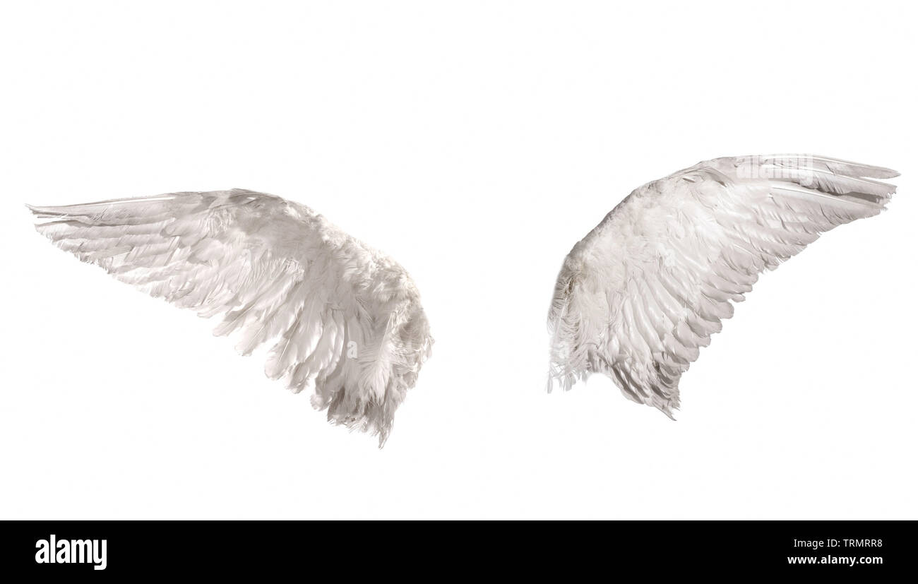 Angel wings isolated on white background Stock Photo