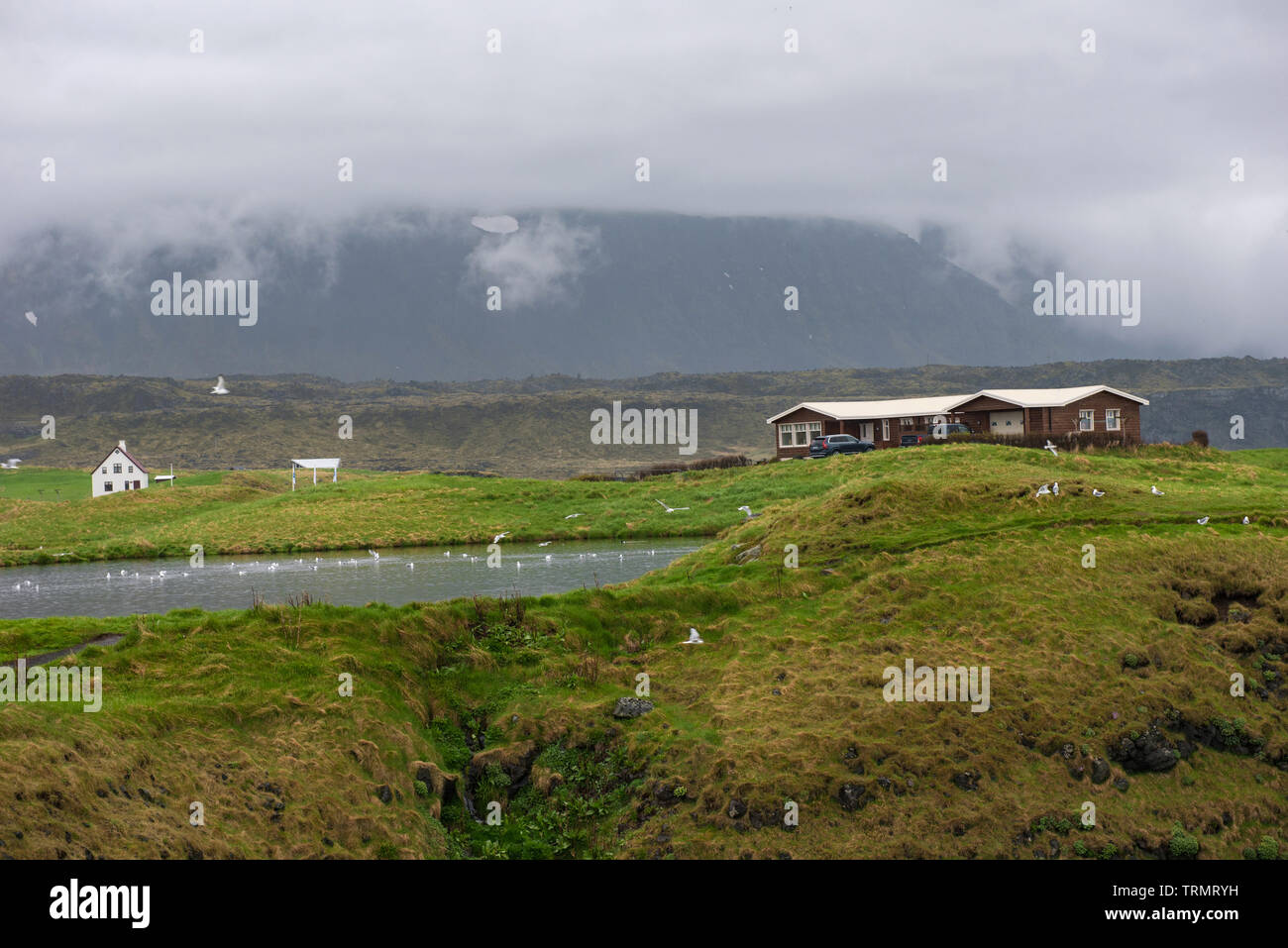 Small eco houses, countryside farmhouses in Iceland Stock Photo