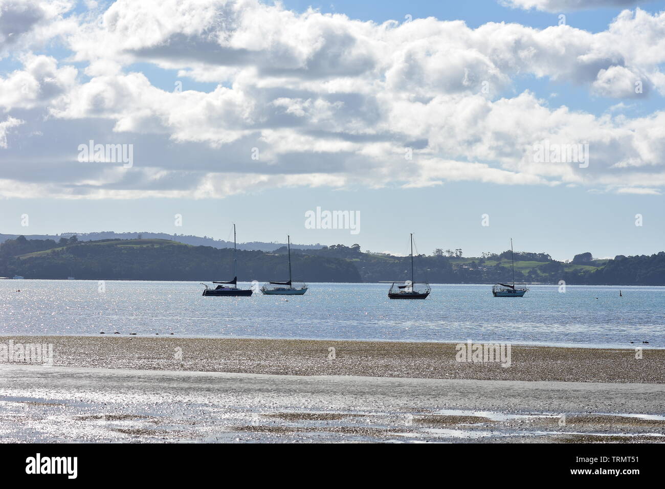 Shallow bay at low tide with sail boats on moorings and mud flats in foreground. Stock Photo