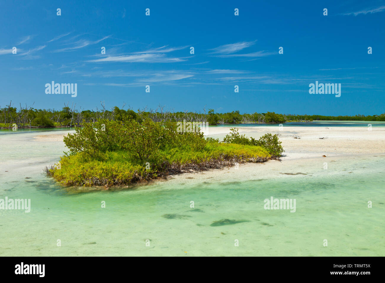 Isla de estado hi-res stock photography and images - Alamy