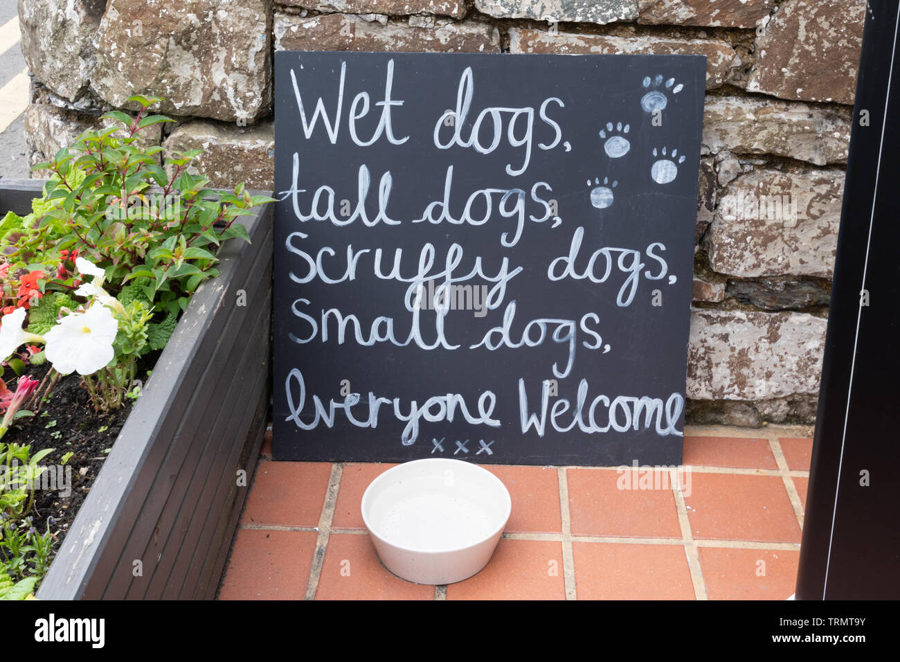 Amusing sign outside a Welsh tearoom: Wet dogs, tall dogs, scruffy dogs, small dogs, everyone welcome, with a dog water bowl Stock Photo