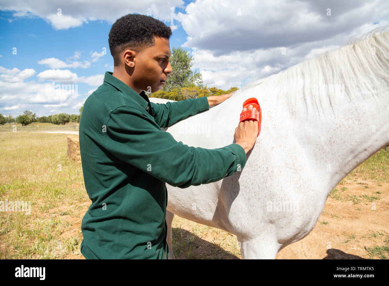 Back View Of Young African American Male Using Brush To Care For