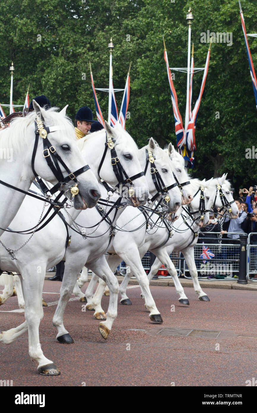Greys of the household band, trooping the colour, London 2019 Stock Photo