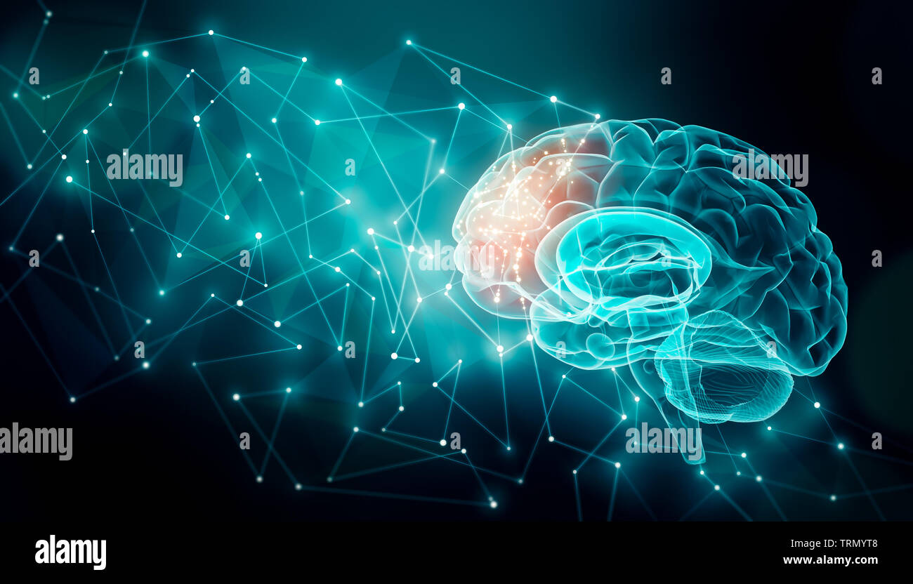 Human brain activity with plexus lines.. External cerebral connections in the frontal lobe. Communication, psychology, artificial intelligence or AI, Stock Photo