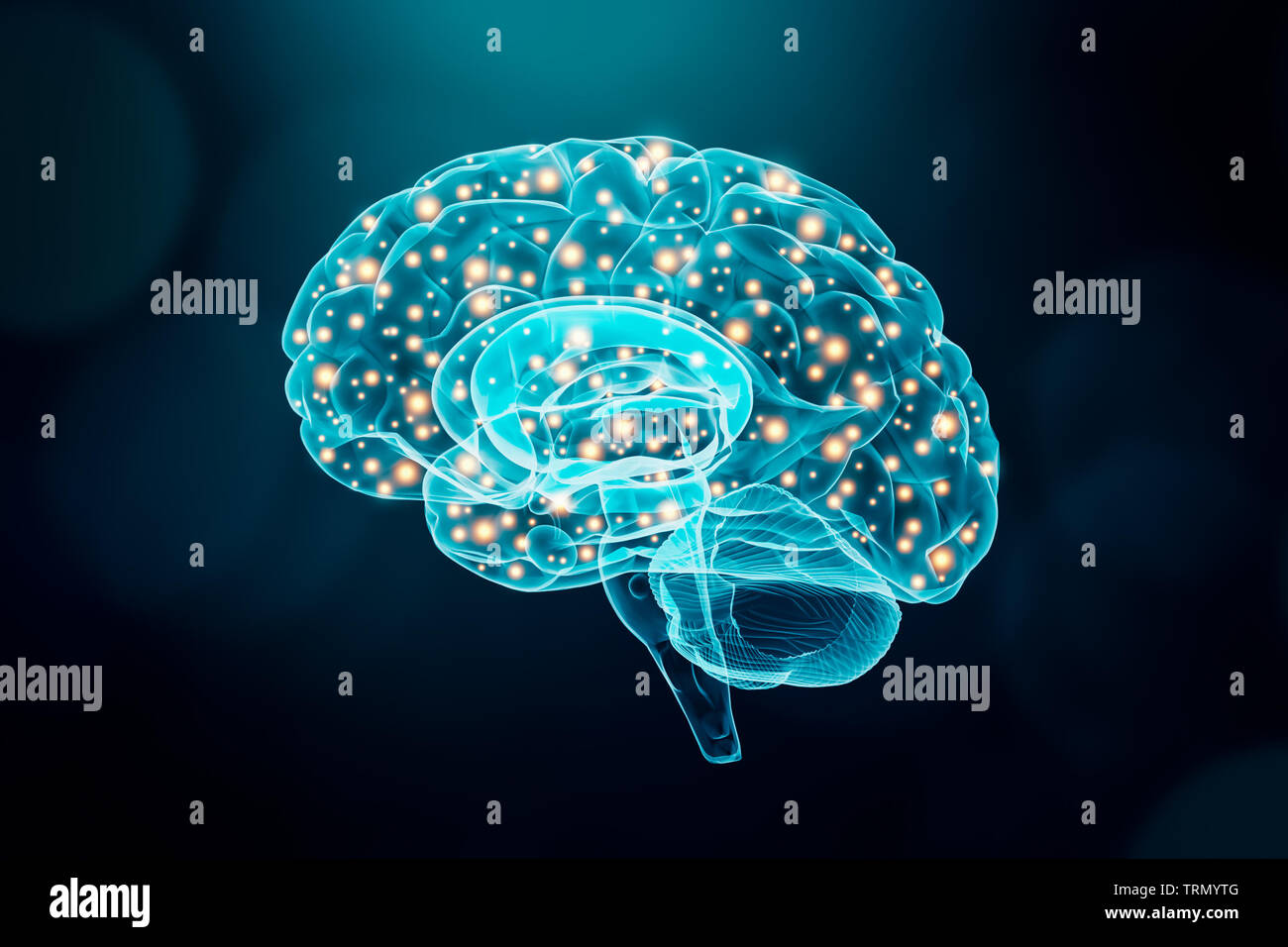 Human brain. Cerebral or neuronal activity concept. Science, cognition, psychology, memory, learning conceptual illustration. Stock Photo