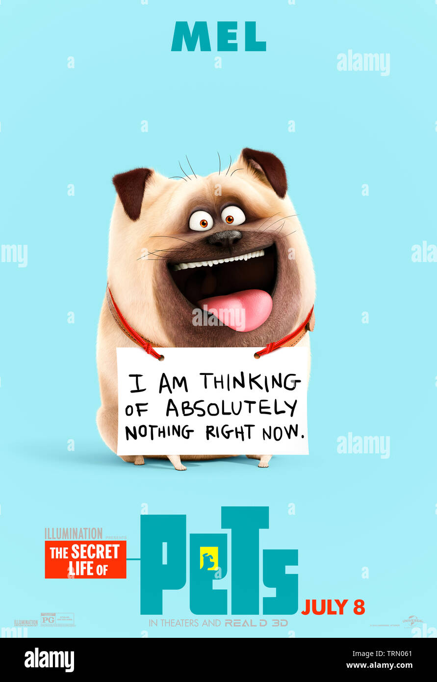 The Secret Life of Pets 2 (2019) directed by Chris Renaud and starring Mel voiced by Bobby Moynihan. Animated sequel about what pets get up to whilst their owners are out for the day. Stock Photo