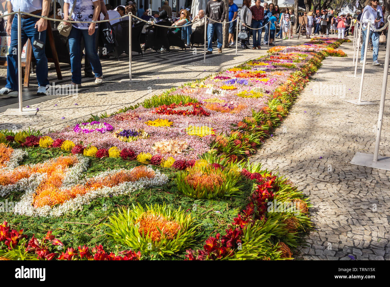 Colorful displays of flowers during Funchal's spring flower festival