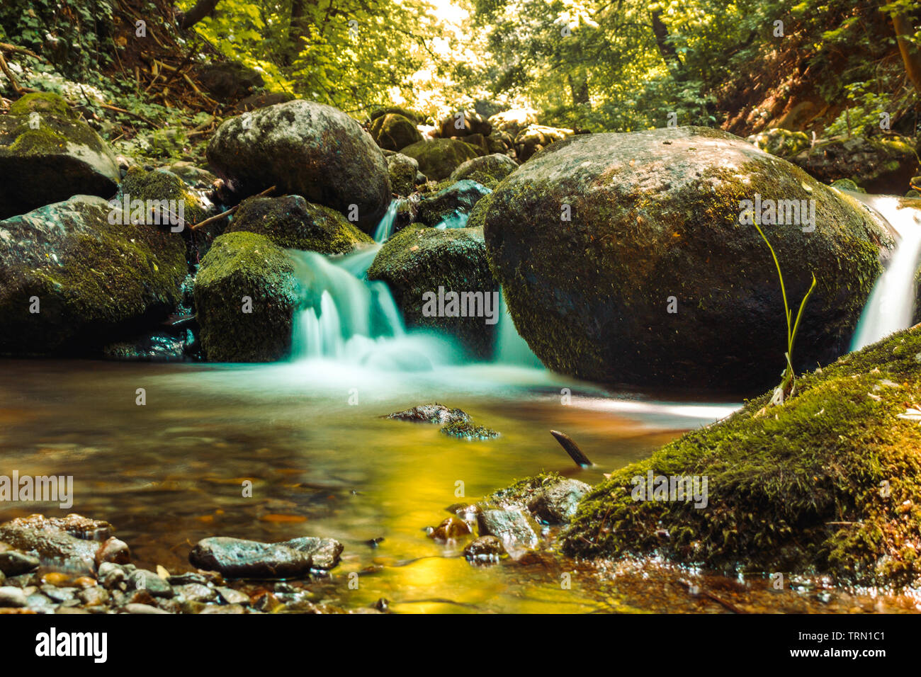beautiful nature in vitosha sofia bulgaria Stock Photo - Alamy