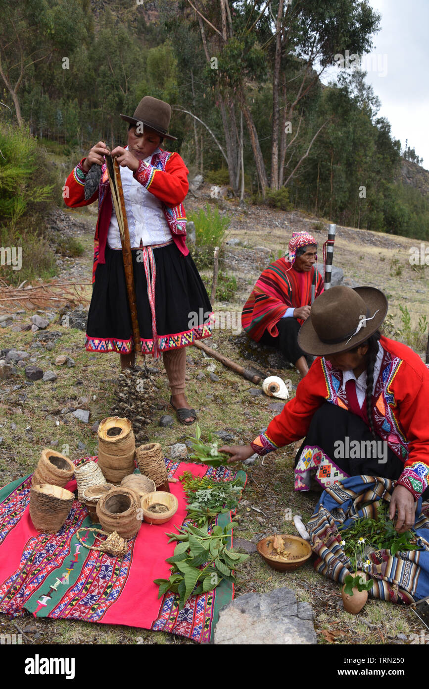 Sacred Valley, Cusco, Peru - Oct 13, 2018: Indigenous Quechua lady with Achupalla plants in the Yachaq community of Janac Chuquibamba Stock Photo