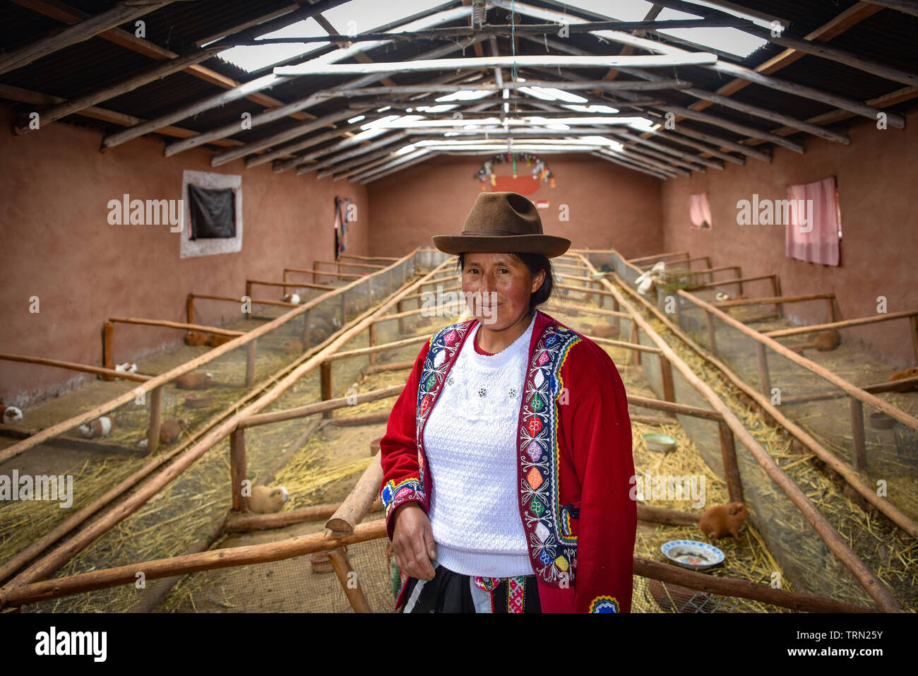 Sacred Valley, Cusco, Peru - Oct 13, 2018: A proud Quechua Andina lady at her guinea pig farm in the Sacred Valley of the Incas Stock Photo