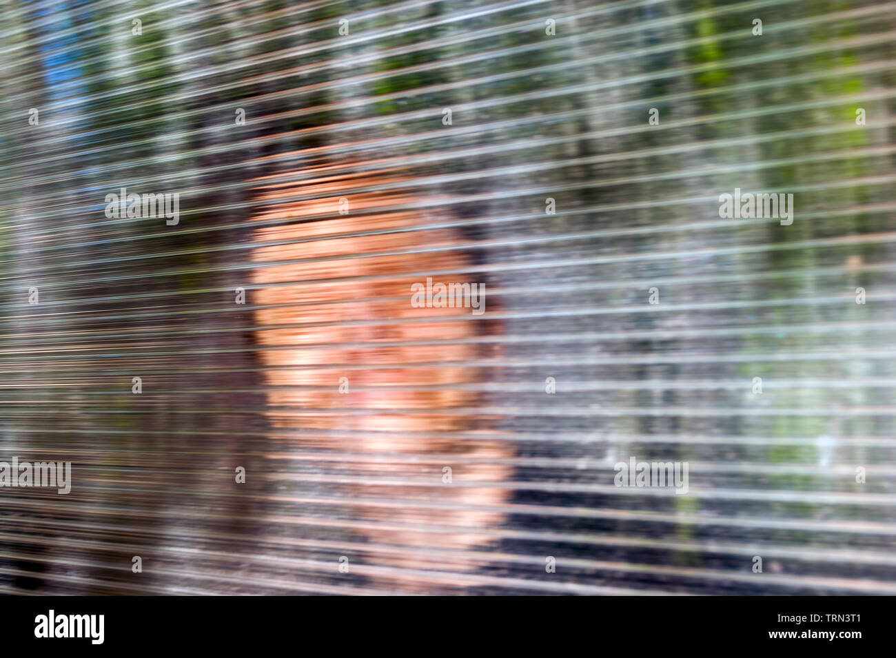 Blurred Smiling Young Face behind Dusty Fluted, Ribbed Glass or Clear Polycarbonate Corrugated Sheet. Online Anonymous, Anon Communication, False Iden Stock Photo