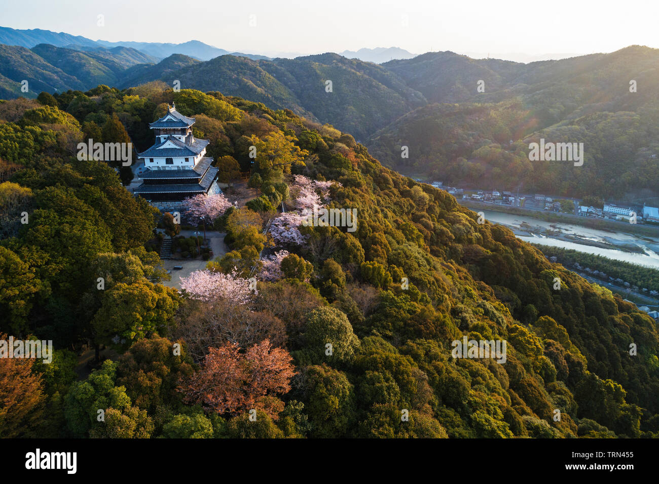 Asia, Japan, Honshu, Yamaguchi prefecture, Iwakuni, aerial view of