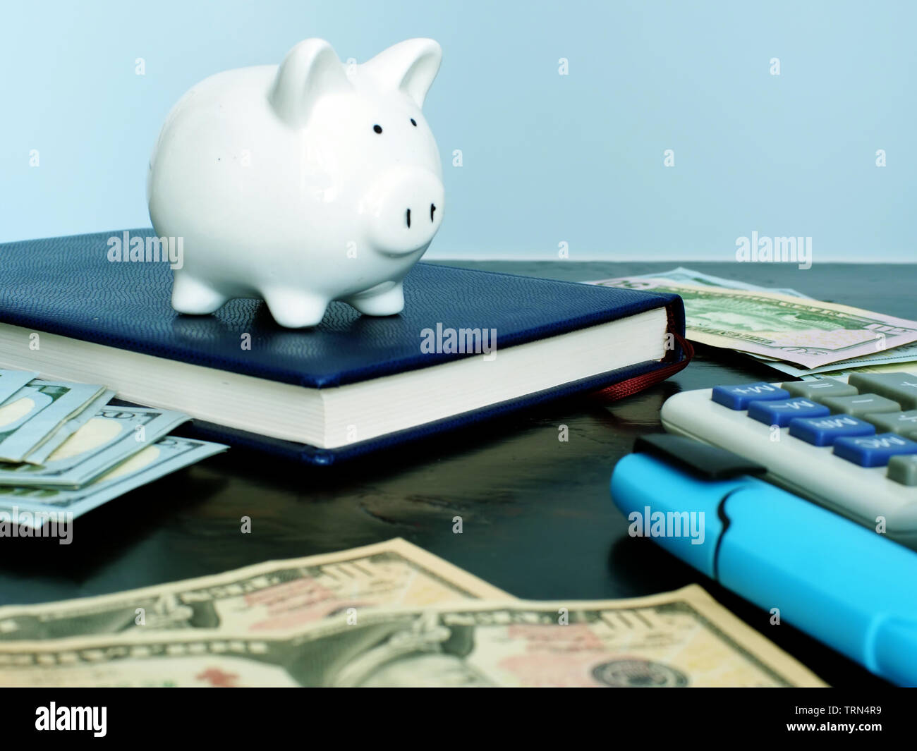 Personal savings and budget. Piggy bank and money. Stock Photo