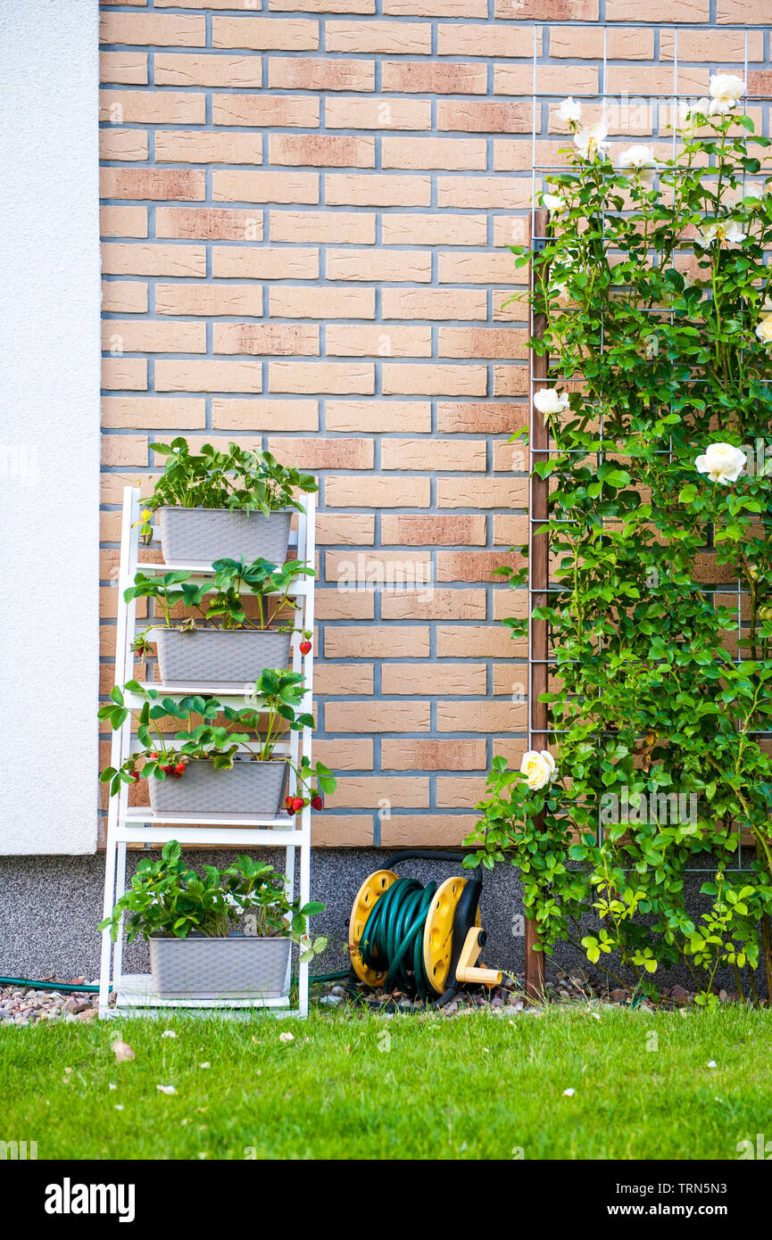 A backyard vertical garden made of wooden racks, shelves or bookcase