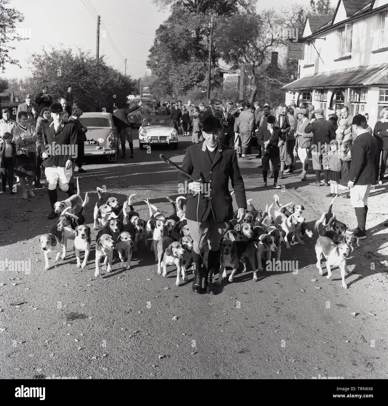 1965, historical, in rural england, local people gather outside the village pub, The Harrow, in Bishopstone, ready to follow the hunt, as the Master of Hounds sets off down the road with a pack of beagle dogs, Aylesbury, Buckinghamshire, England, UK. Owned at this time by the Aylesbury Brewery Company (ABC) The Harrow pub closed down in 2014, the fate of many British village pubs. Stock Photo