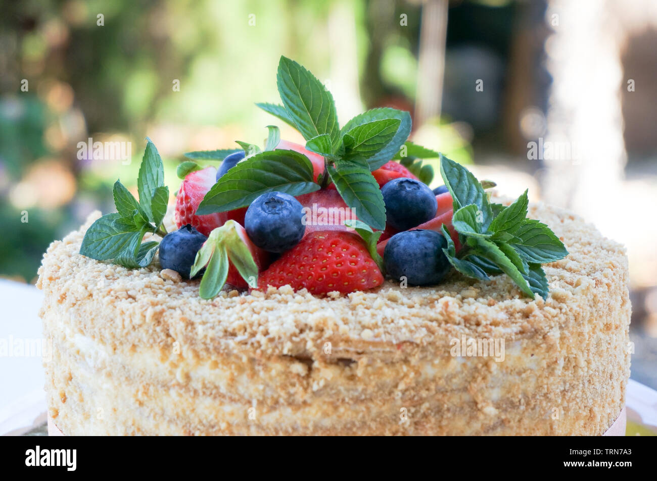 Homemade cake blueberries strawberries and peppermint herb decoration details Stock Photo