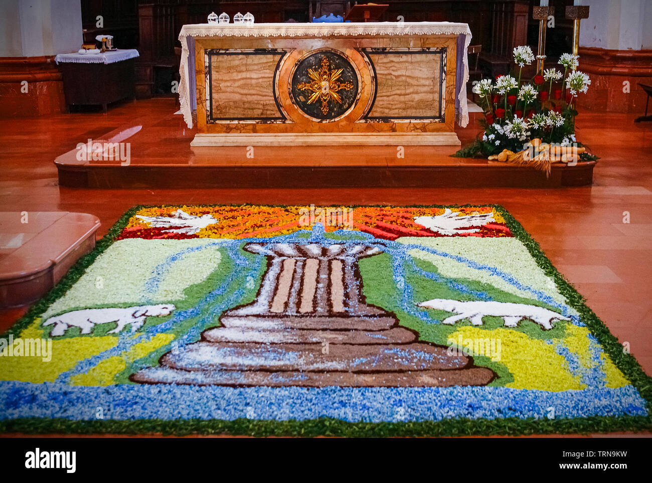 Italy Umbria Norcia - Corpus Domini feast - Floral display Stock Photo