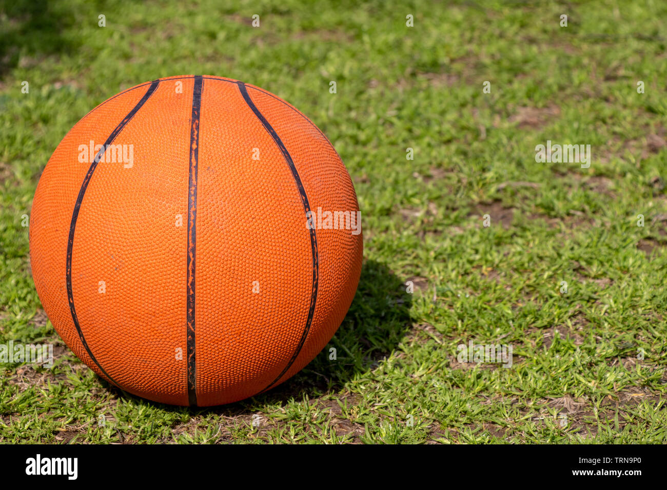 Basket ball lying in green grass field Stock Photo