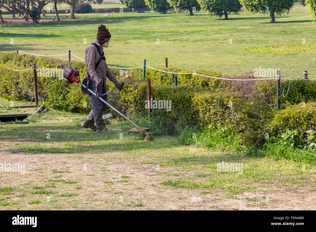 Man cutting grass with grass cutting machine Stock Photo