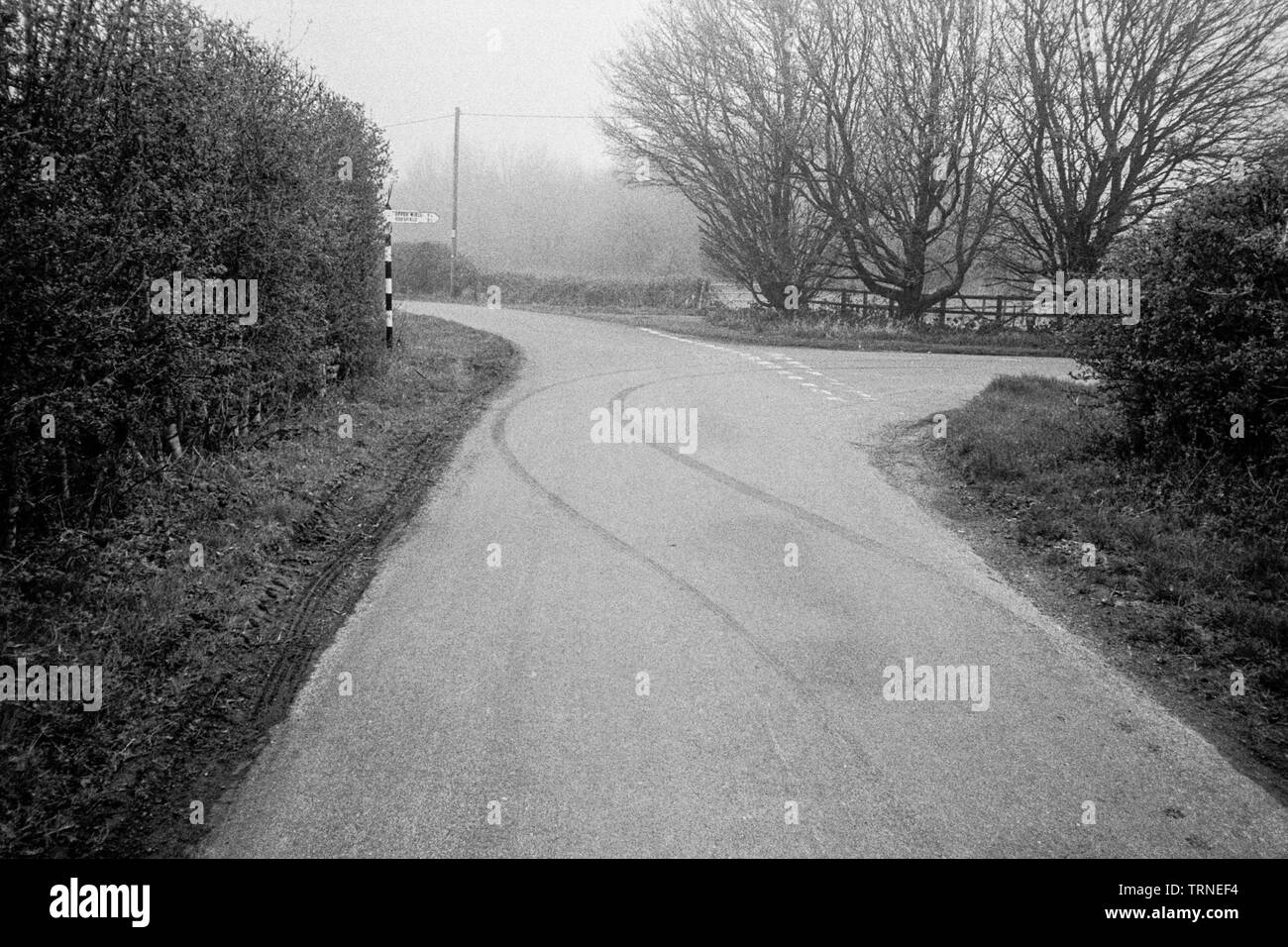 Tyre marks on the road ,Hattingley Road, Medstead, Alton, Hampshire, England, United Kingdom Stock Photo