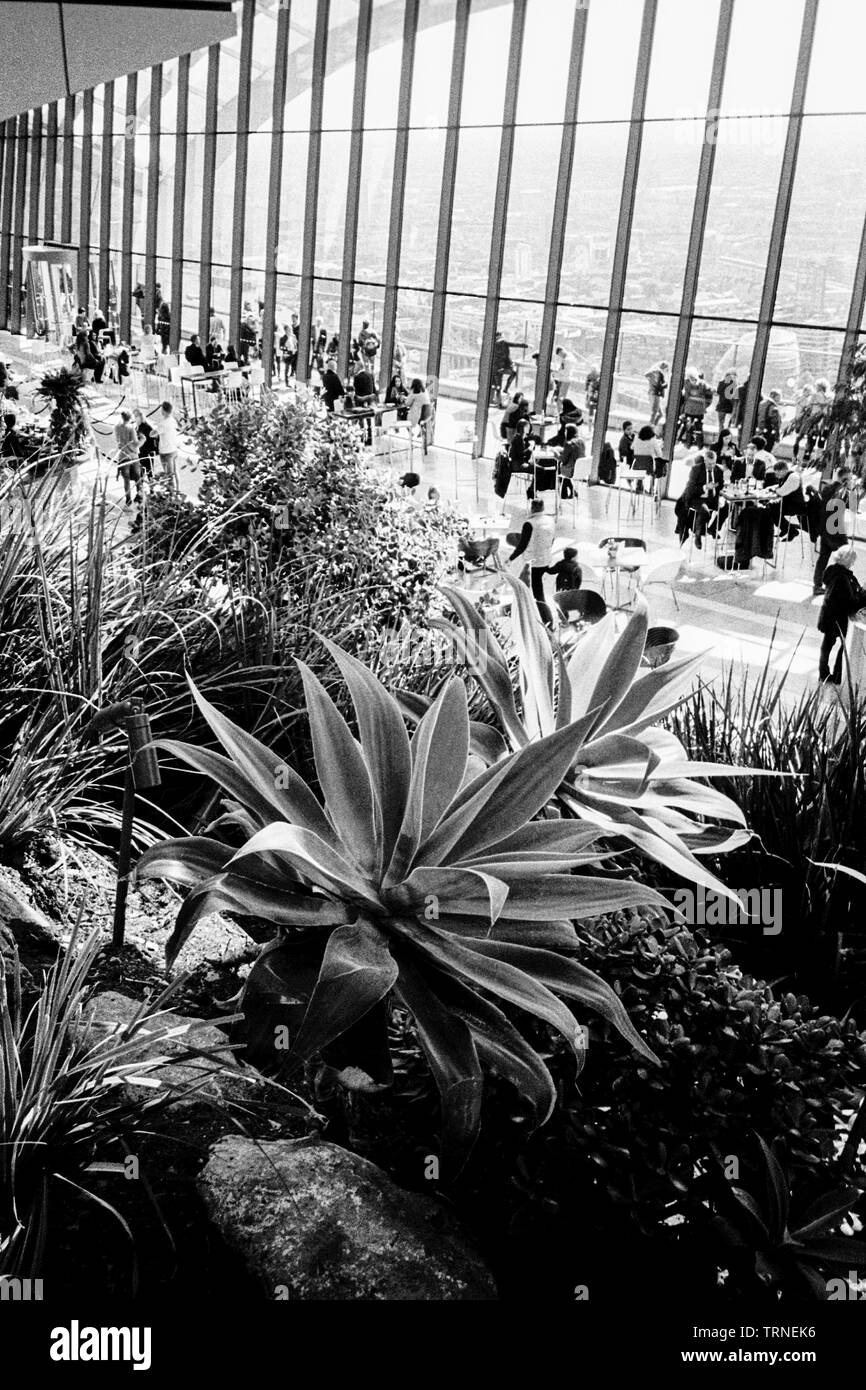 Sky Garden, 20 Fenchurch Street, London, England, United Kingdom Stock