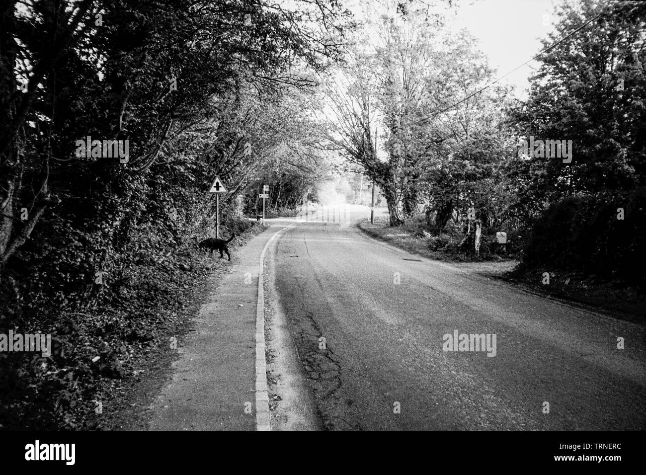 Lymington Bottom Road, Medstead, Alton, Hampshire, England, United Kingdom. Stock Photo