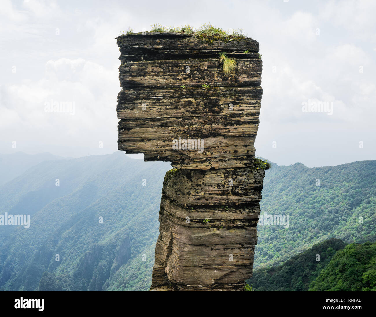 The mushroom shaped rock a billion year old unique geological slate stone pillar and icon of Fanjing mountain in Guizhou China Stock Photo