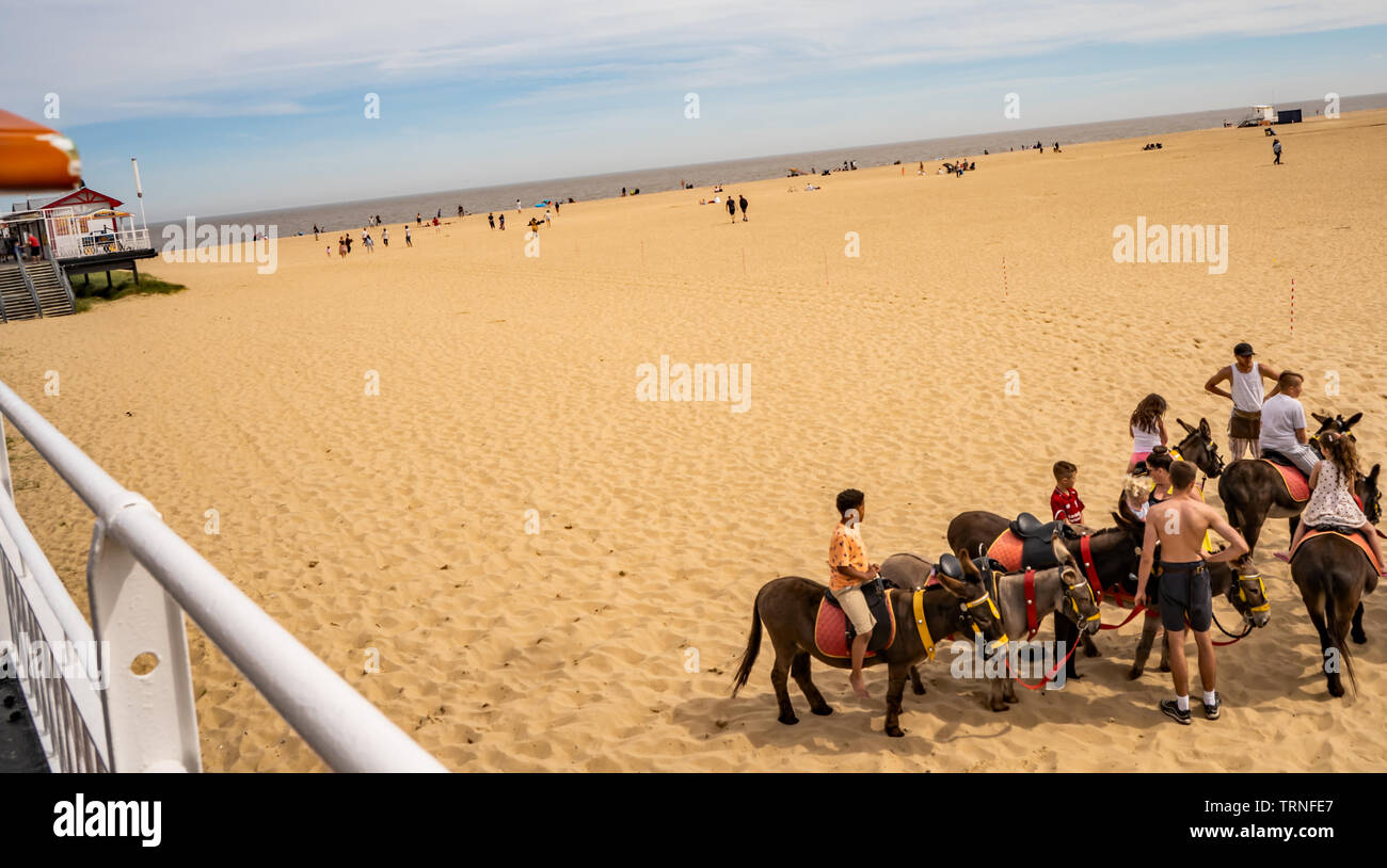 Great yarmouth beach donkey ride hi-res stock photography and images ...