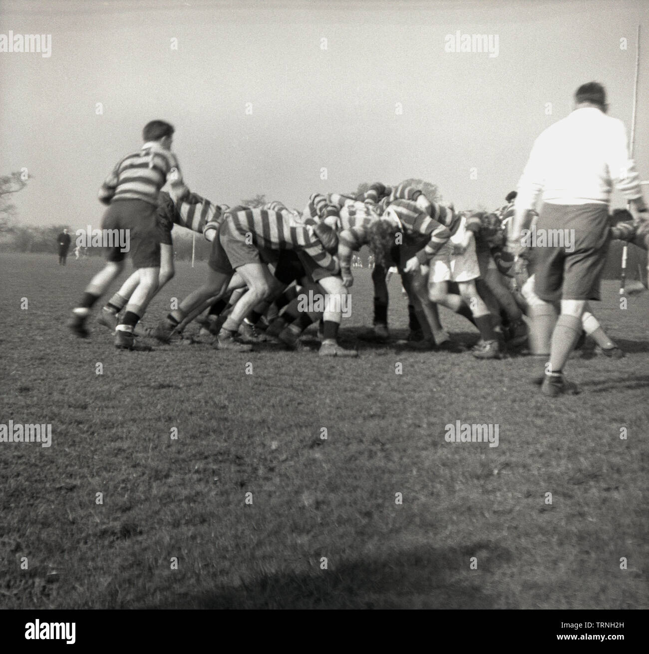 1950s, historical, amateur rugby union match, rugby forwards inter-locked with the opposition forwards in a scrum, watched over by the referee, England, UK. Stock Photo