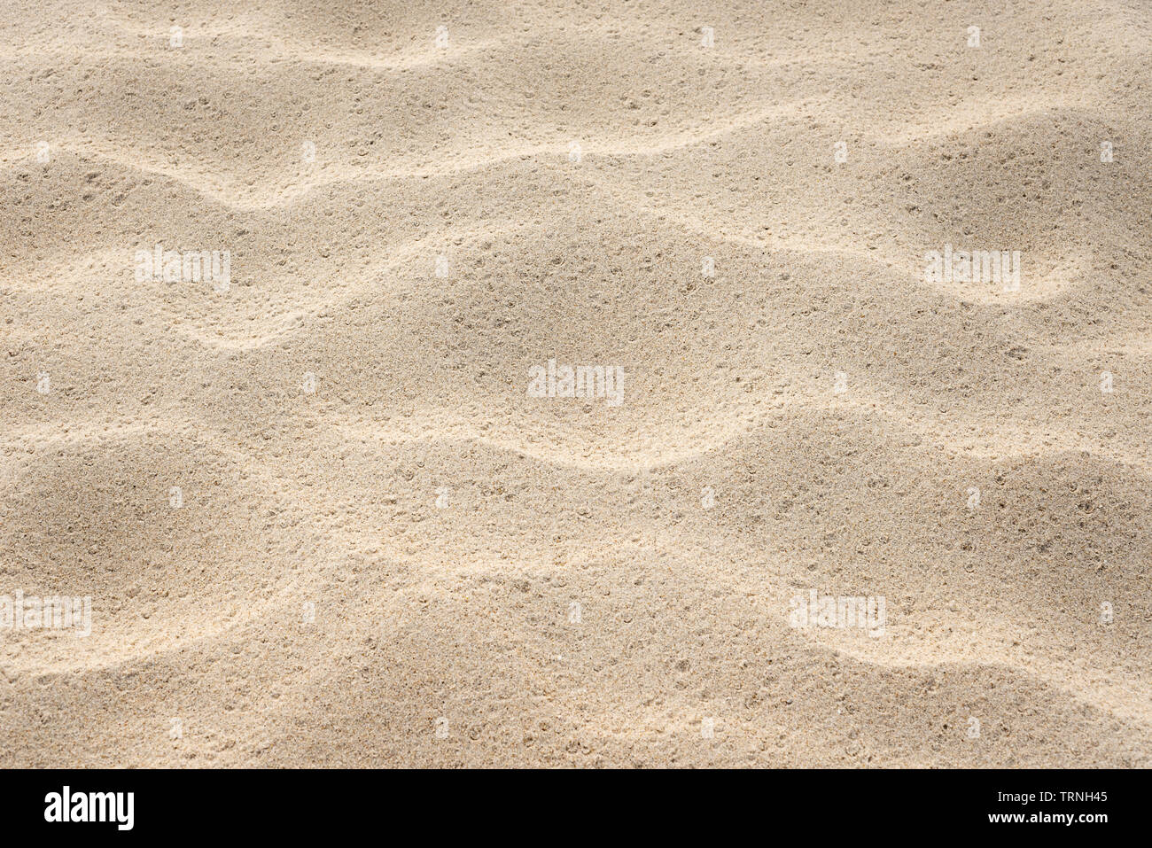 Summer background for design. Abstraction in nature. The texture of the sandy beach with a wavy surface Stock Photo