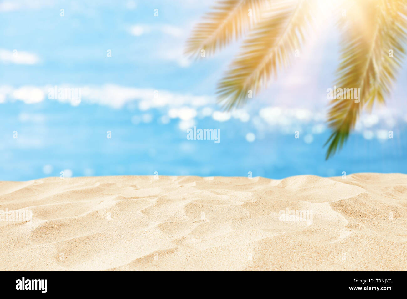 Empty sand beach in front of summer sea and palm tree background with ...