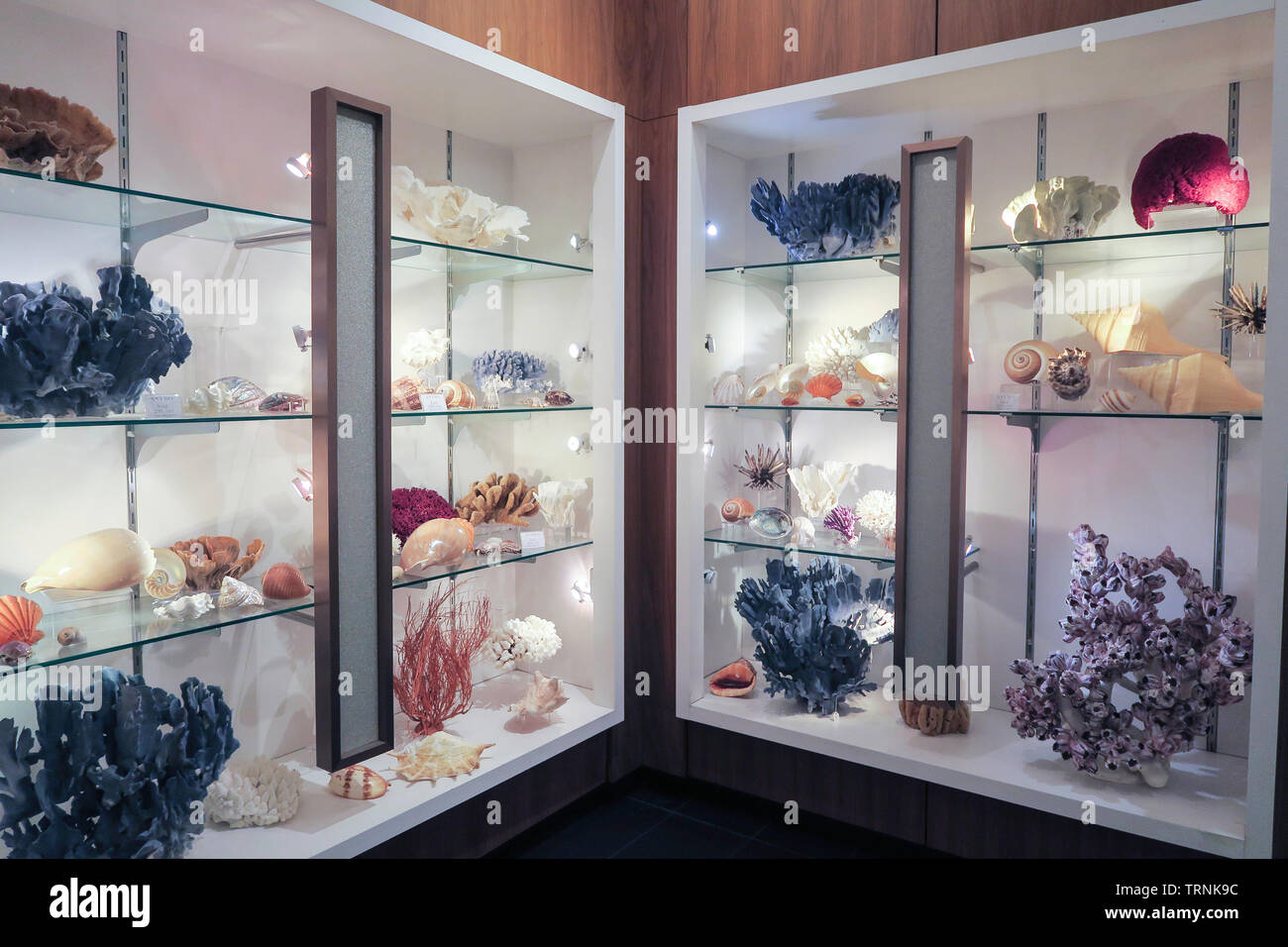 Mineral and Rock Display, Astro Gallery of Gems, NYC, USA Stock Photo