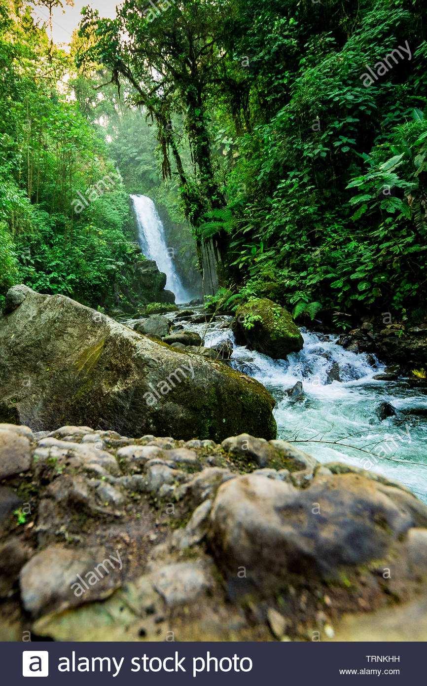 La Paz Waterfall Gardens With Green Tropical Forest In Central