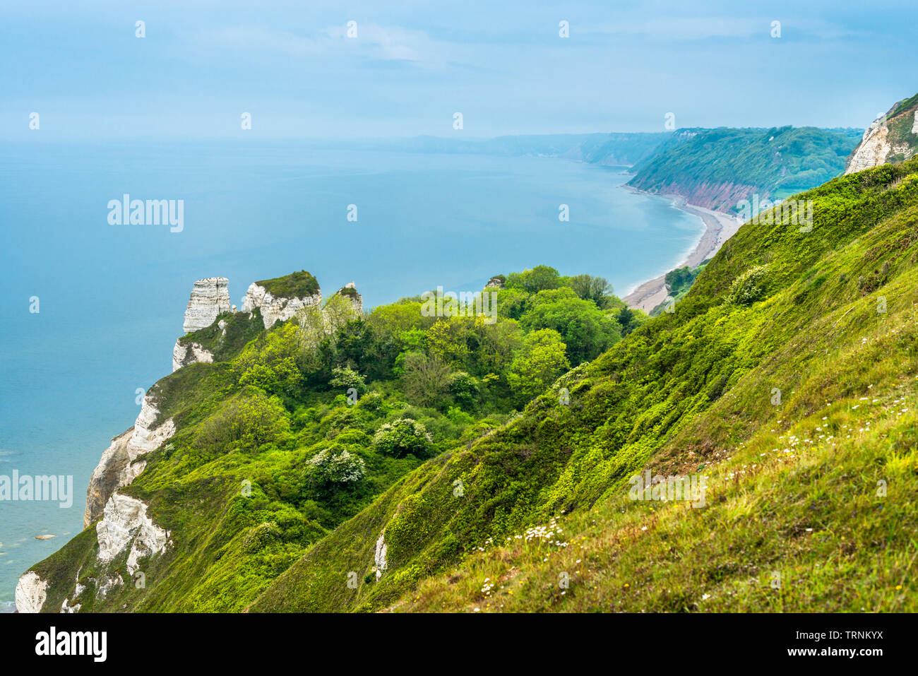 Hooken cliff hires stock photography and images Alamy