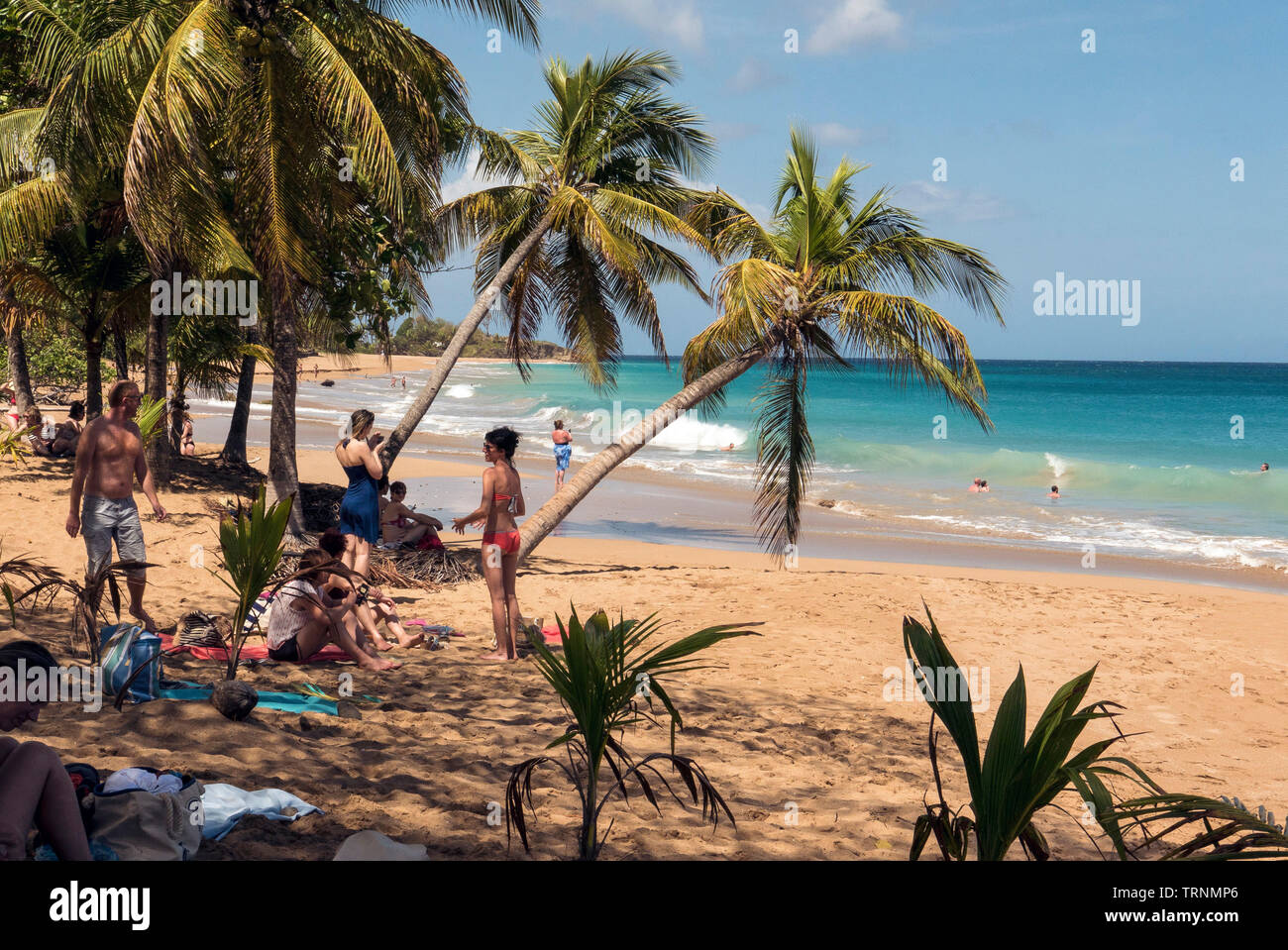 La Perle beach at Basse -Terre on the french island of Guadeloupe in the Antilles Stock Photo