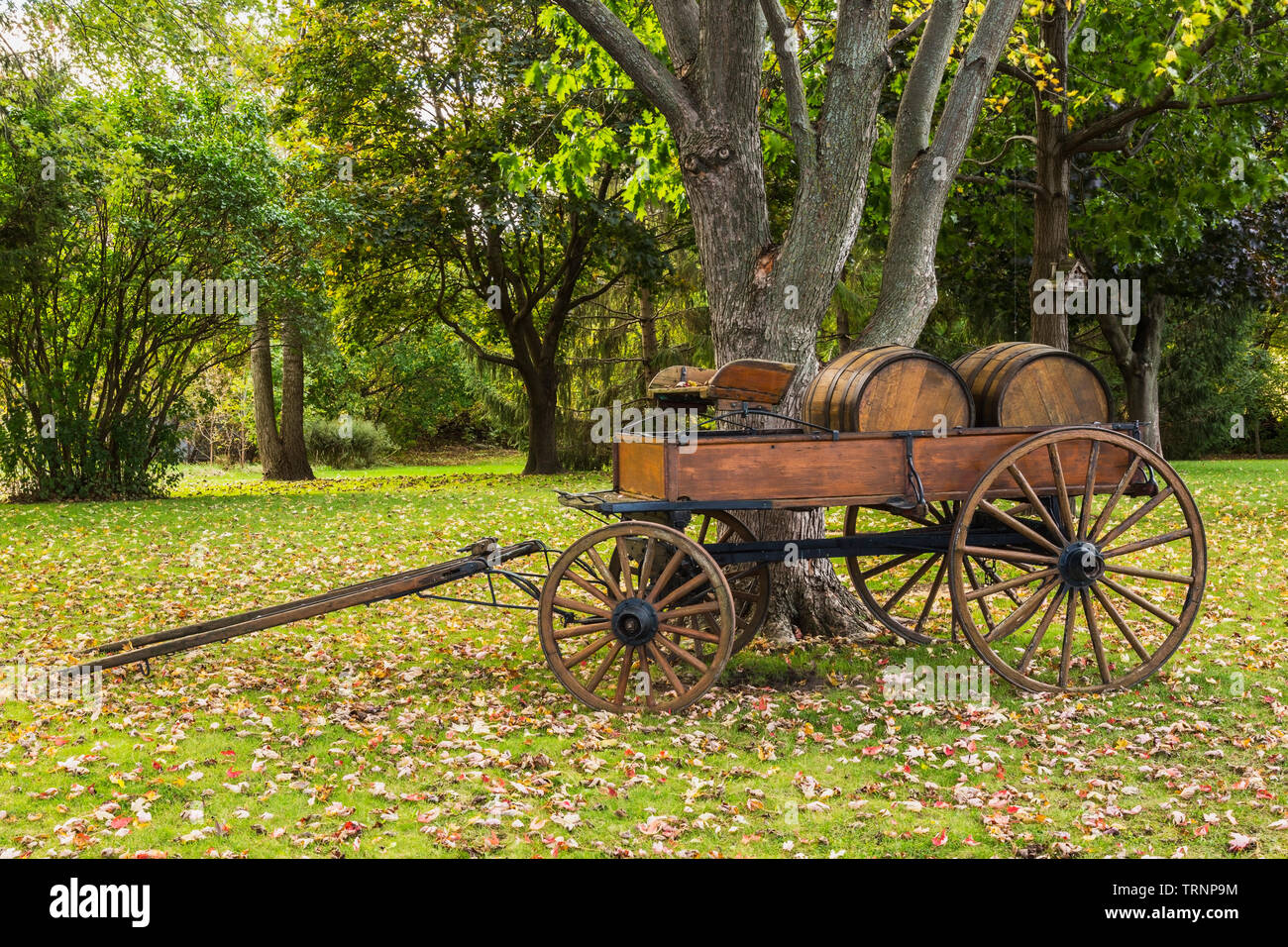 Horse drawn wagon 1800s hi-res stock photography and images - Alamy