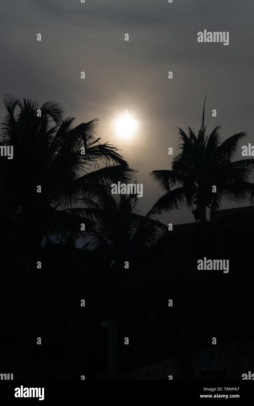 Photo in low light of a sunset between palm trees, taken in Tulum, in the Mexican peninsula of Yucatan Stock Photo