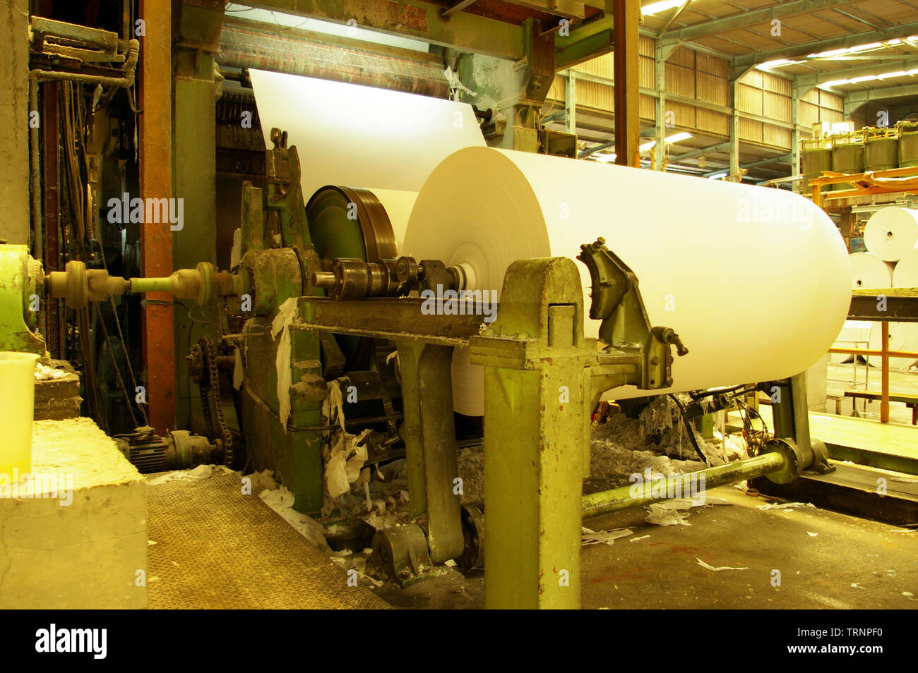 Tissue Engineering High Resolution Stock Photography and Images Alamy