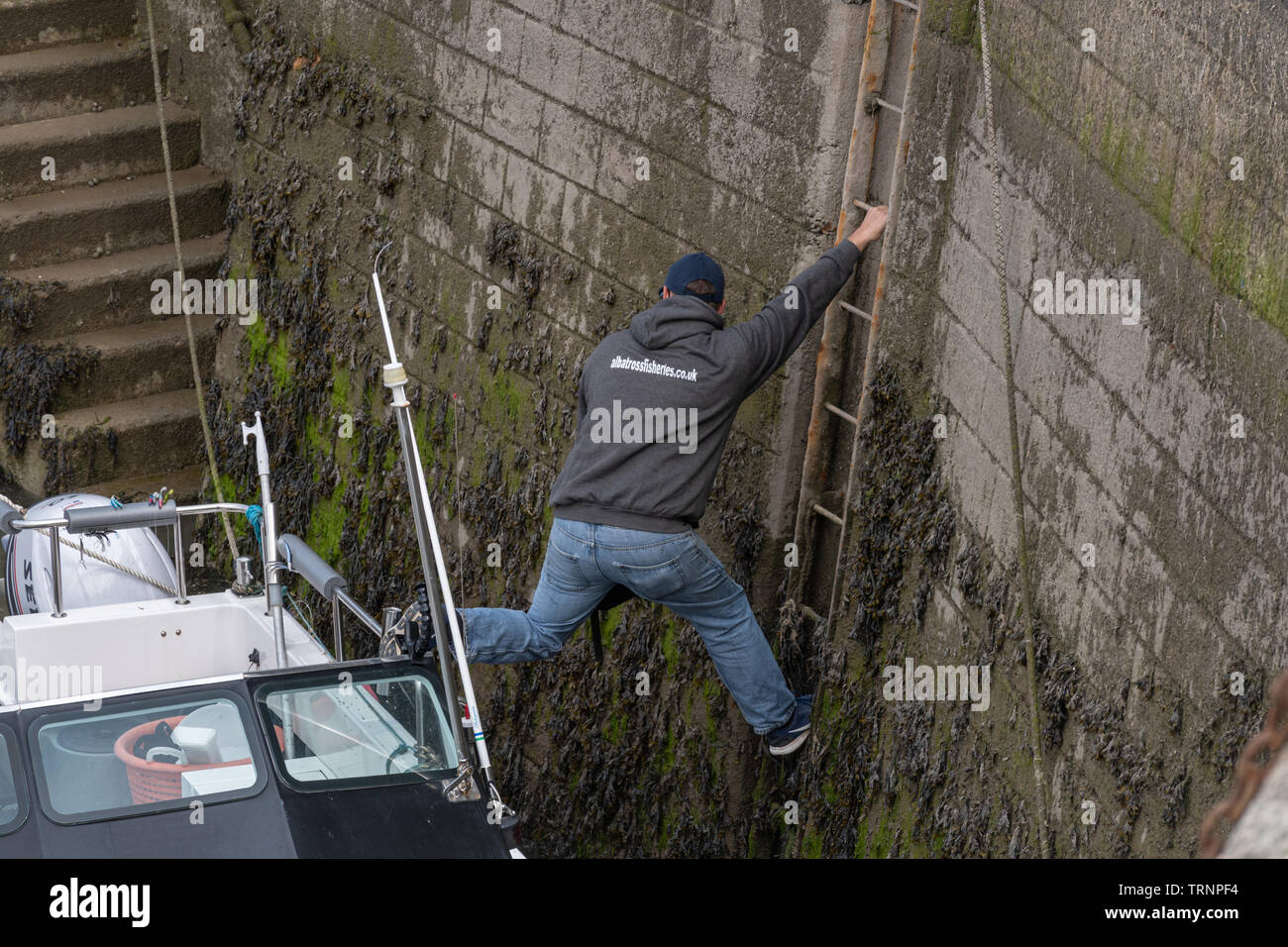 Man trying to board a fishing boat in the harbour, hanging onto a ladder, in Saundersfoot, Wales Stock Photo