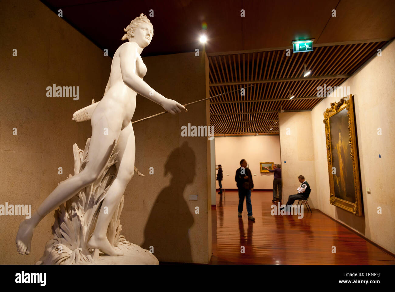 Estatua de Diana de Jean-Antoine Houdon (1780). Arte Europeo. Museo  Gulbenkian, Plaza de España, Ciudad de Lisboa, Portugal, Península Ibérica,  Europa Stock Photo - Alamy