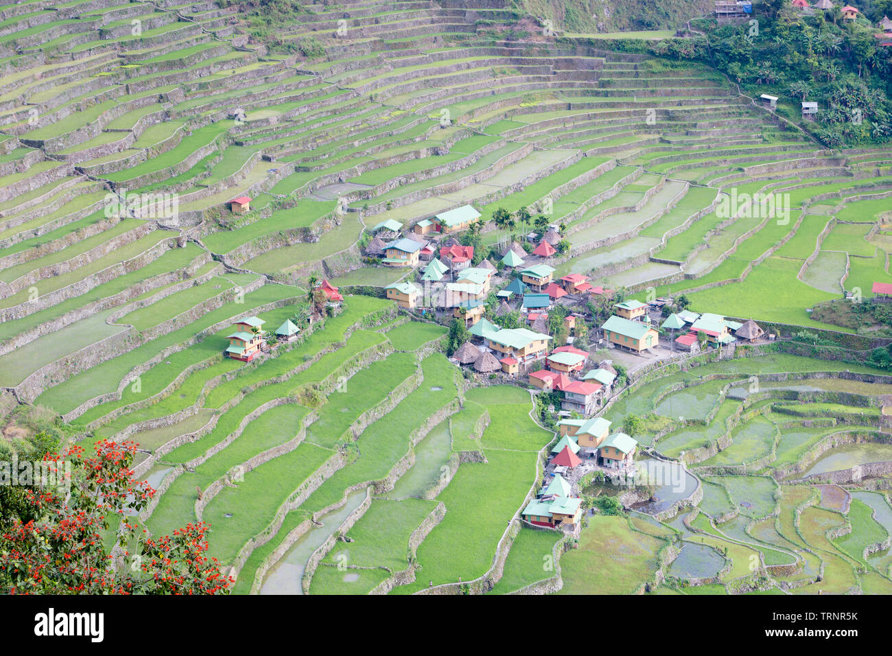 Farming terraces near village hi-res stock photography and images - Alamy