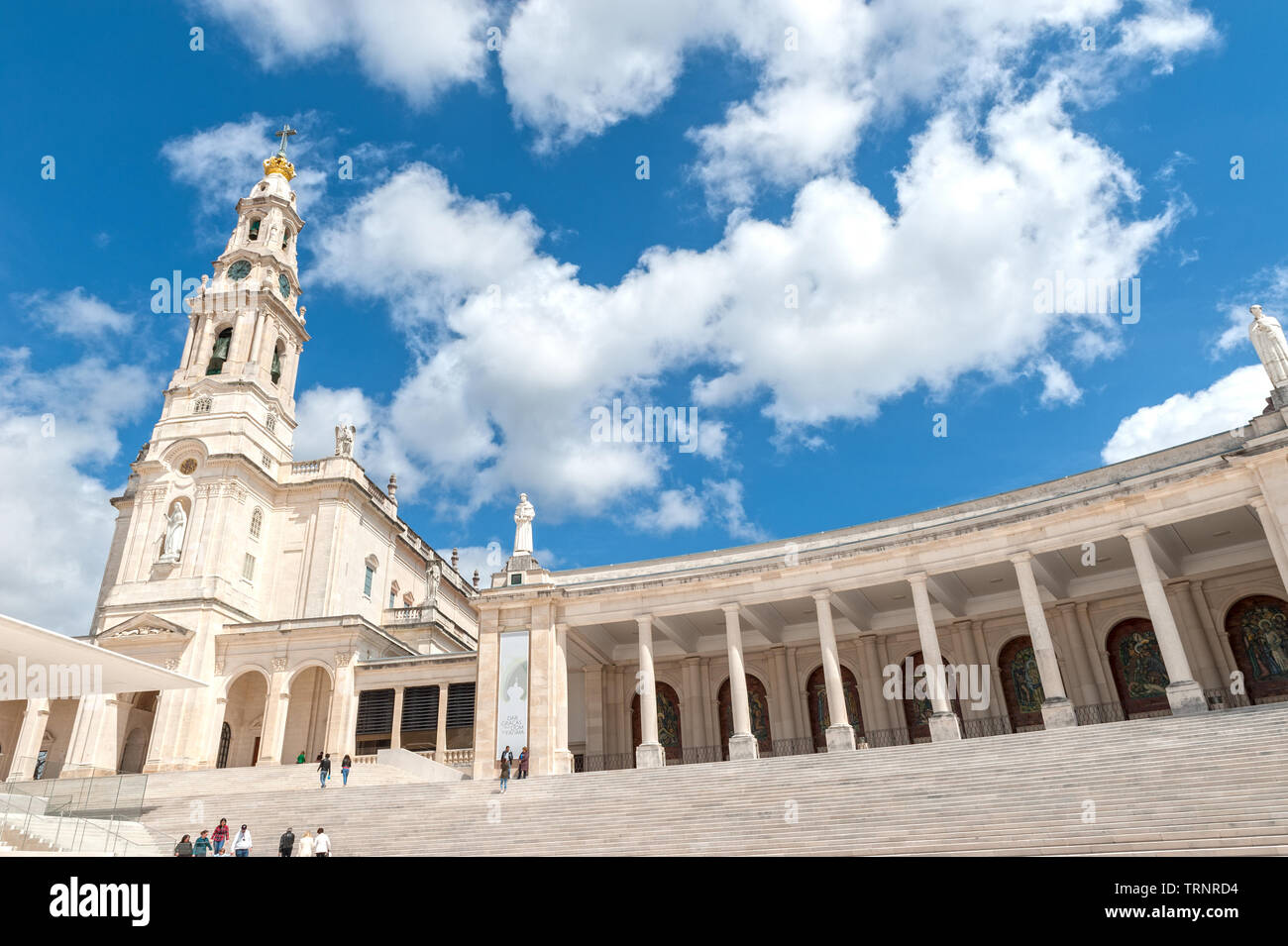 Fatima Tree Fatima sanctuary view hi-res stock photography and images - Alamy